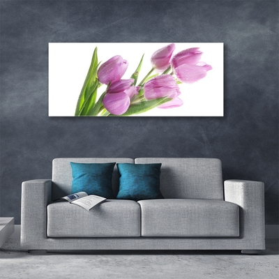 Quadro vetro Tulipani Fiori Pianta