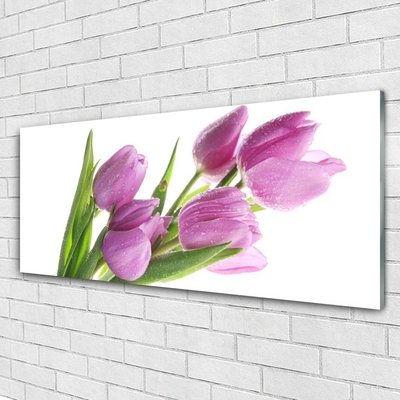 Quadro vetro Tulipani Fiori Pianta