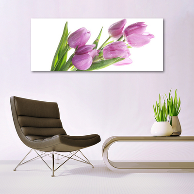 Quadro vetro Tulipani Fiori Pianta