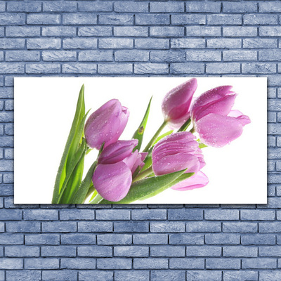 Quadro vetro Tulipani Fiori Pianta