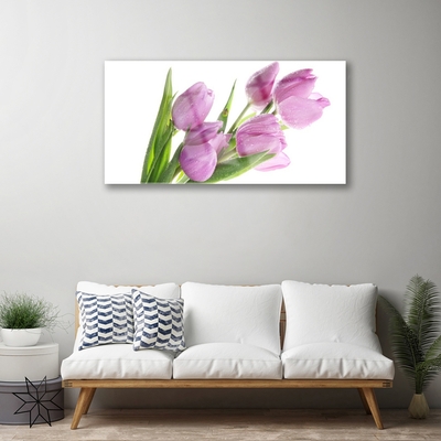 Quadro vetro Tulipani Fiori Pianta