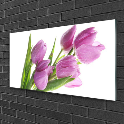 Quadro vetro Tulipani Fiori Pianta