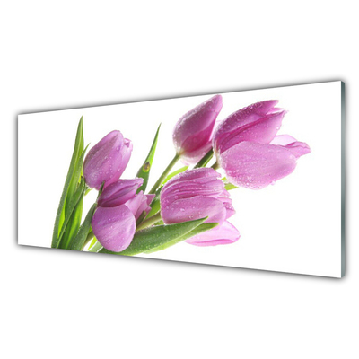 Quadro vetro Tulipani Fiori Pianta