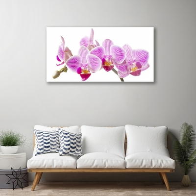 Quadro in vetro Fiori Pianta naturale