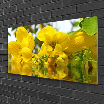 Quadro vetro Fiori Pianta naturale