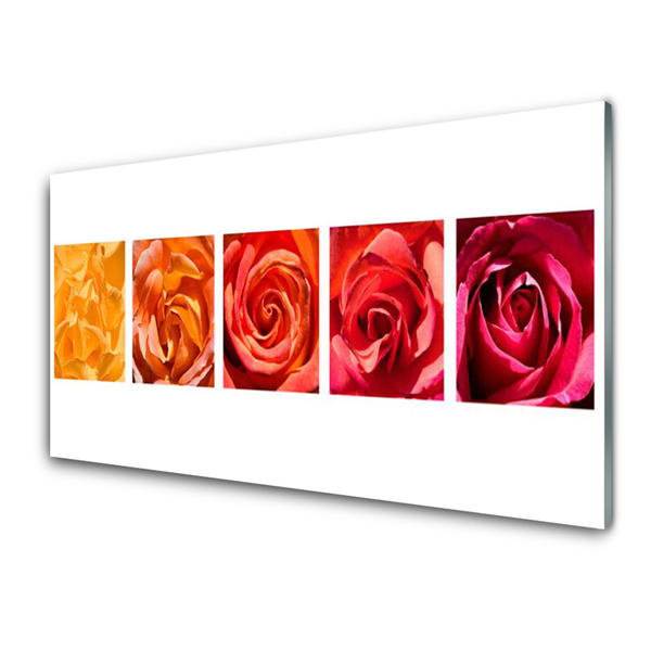 Quadro di vetro Rose Fiori Pianta