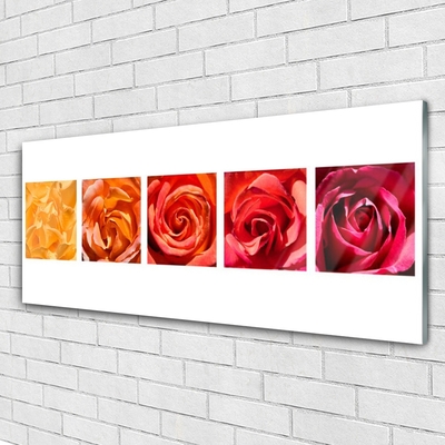 Quadro di vetro Rose Fiori Pianta