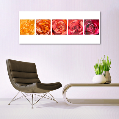 Quadro di vetro Rose Fiori Pianta