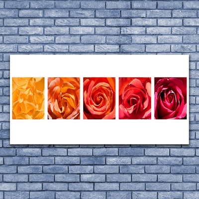 Quadro di vetro Rose Fiori Pianta