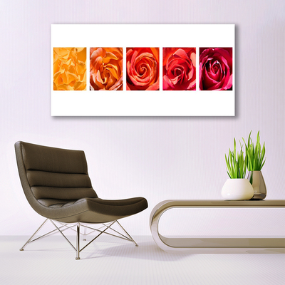 Quadro di vetro Rose Fiori Pianta