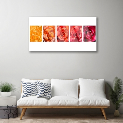 Quadro di vetro Rose Fiori Pianta