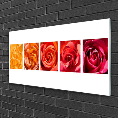 Quadro di vetro Rose Fiori Pianta