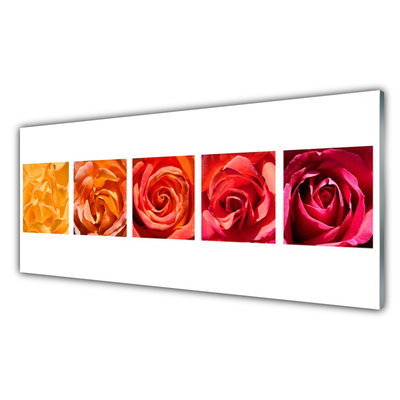 Quadro di vetro Rose Fiori Pianta