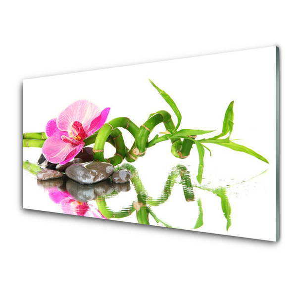 Quadro in vetro Pietre di fiori di bambù