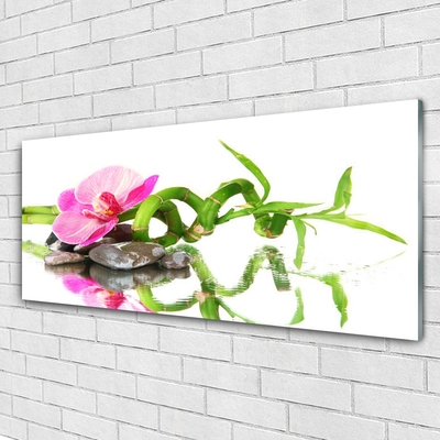 Quadro in vetro Pietre di fiori di bambù