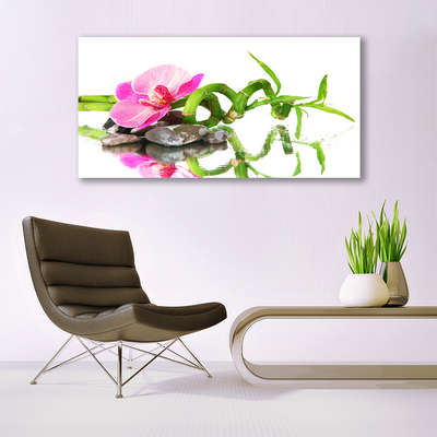 Quadro in vetro Pietre di fiori di bambù