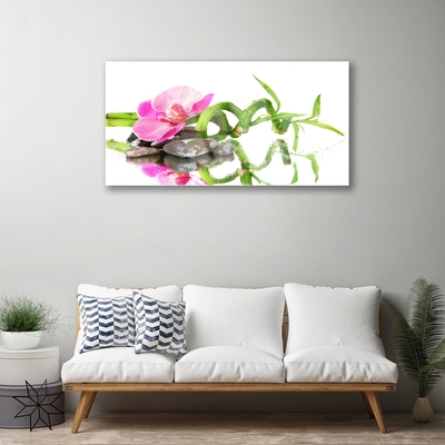 Quadro in vetro Pietre di fiori di bambù