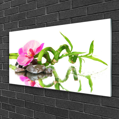 Quadro in vetro Pietre di fiori di bambù