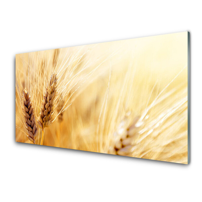 Quadro vetro Grano Natura Pianta