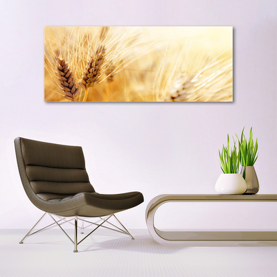 Quadro vetro Grano Natura Pianta