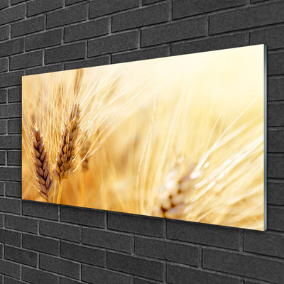 Quadro vetro Grano Natura Pianta