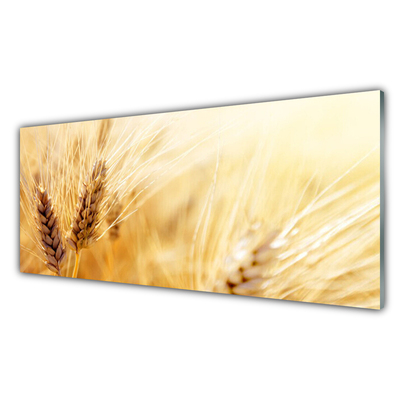 Quadro vetro Grano Natura Pianta