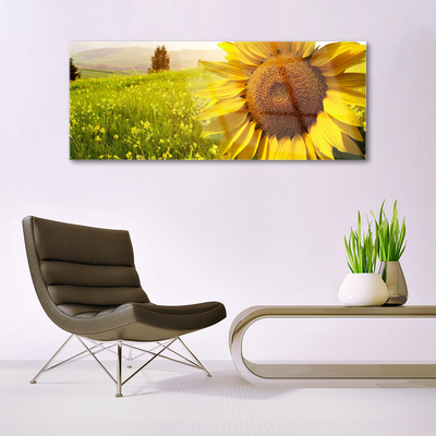 Quadro in vetro Pianta di girasole