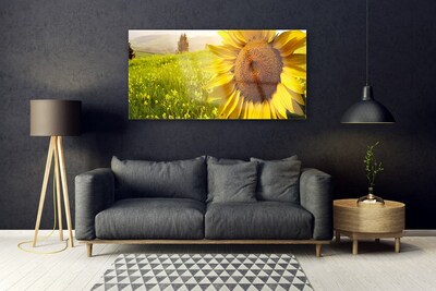 Quadro in vetro Pianta di girasole