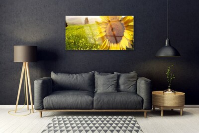 Quadro in vetro Pianta di girasole