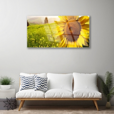 Quadro in vetro Pianta di girasole