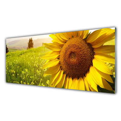 Quadro in vetro Pianta di girasole