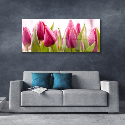 Quadro in vetro Tulipani Fiori Pianta