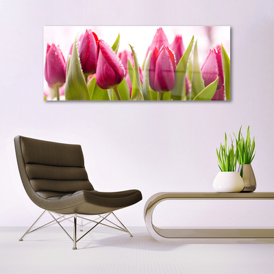 Quadro in vetro Tulipani Fiori Pianta