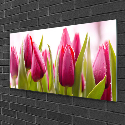 Quadro in vetro Tulipani Fiori Pianta