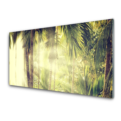 Quadro di vetro Foresta Palme Alberi Natura