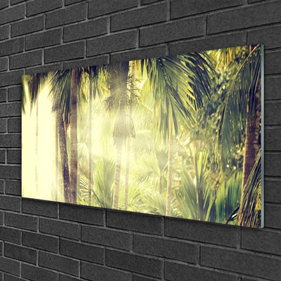 Quadro di vetro Foresta Palme Alberi Natura