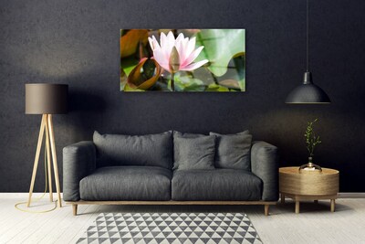 Quadro su vetro Fiore Pianta naturale