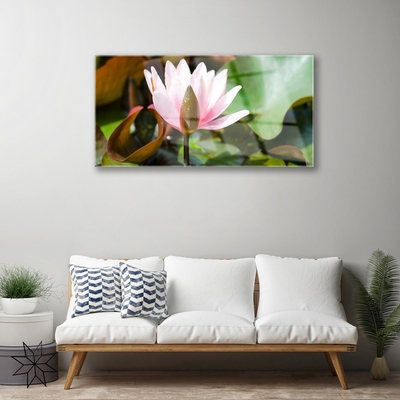 Quadro su vetro Fiore Pianta naturale