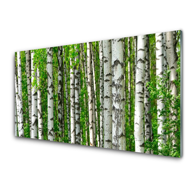 Quadro su vetro Foresta Pianta Natura Alberi