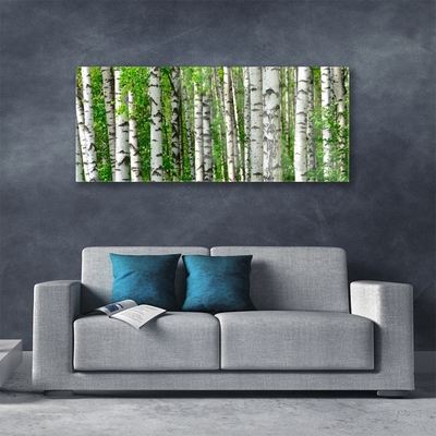 Quadro su vetro Foresta Pianta Natura Alberi