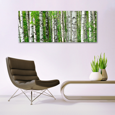 Quadro su vetro Foresta Pianta Natura Alberi