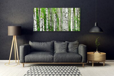 Quadro su vetro Foresta Pianta Natura Alberi