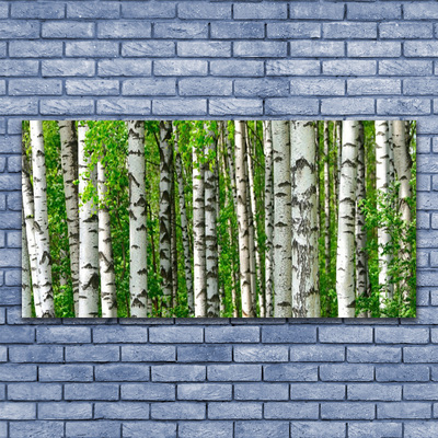 Quadro su vetro Foresta Pianta Natura Alberi