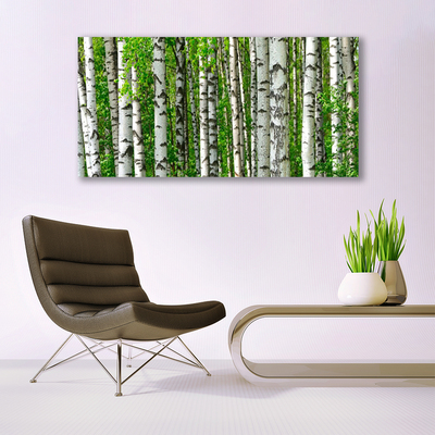 Quadro su vetro Foresta Pianta Natura Alberi