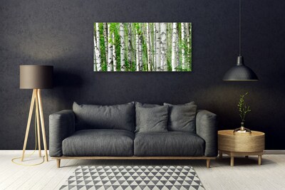 Quadro su vetro Foresta Pianta Natura Alberi