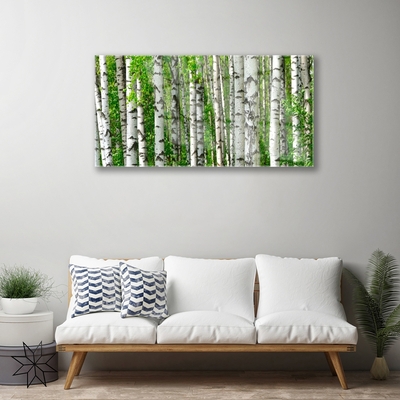 Quadro su vetro Foresta Pianta Natura Alberi