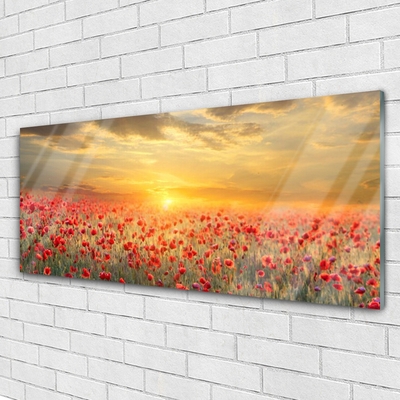 Quadro su vetro Fiori di papavero Sun Meadow