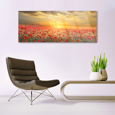 Quadro su vetro Fiori di papavero Sun Meadow