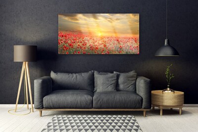 Quadro su vetro Fiori di papavero Sun Meadow