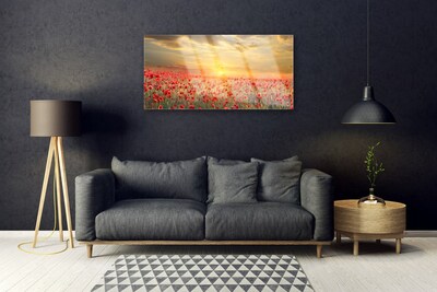 Quadro su vetro Fiori di papavero Sun Meadow